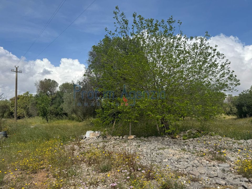 Helårsgrund i Carovigno, Brindisi - foto 2